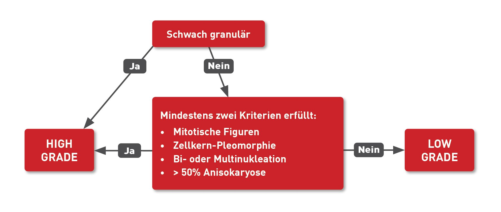 Der zytologische Nachweis der Granularität hilft bei der Grading eines MCT