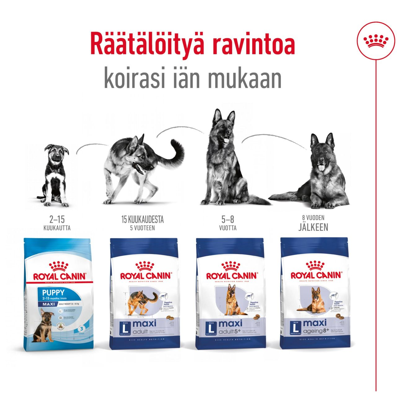 Maxi Adult