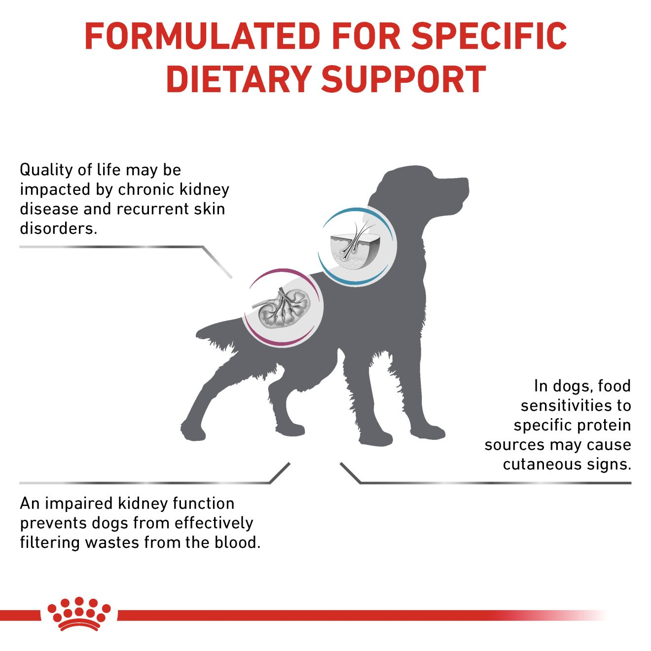 MULTIFUNCTION RENAL + HYPOALLERGENIC