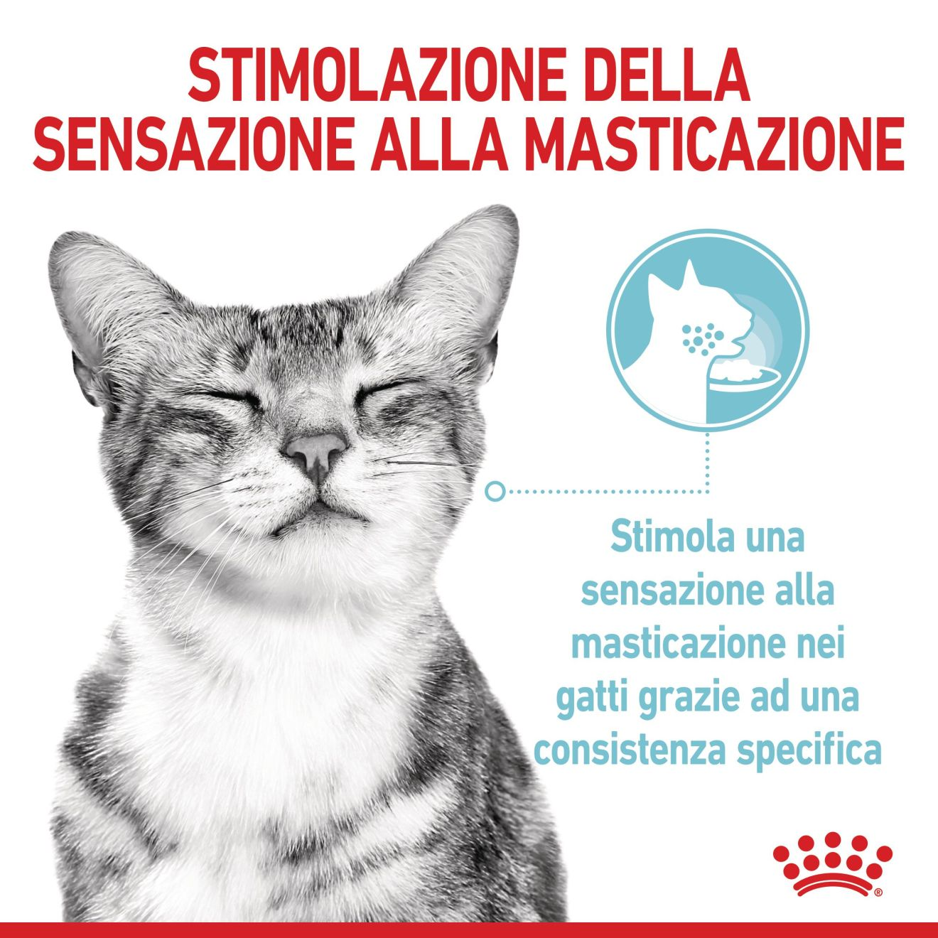 SENSORY™ FEEL straccetti in gelatina