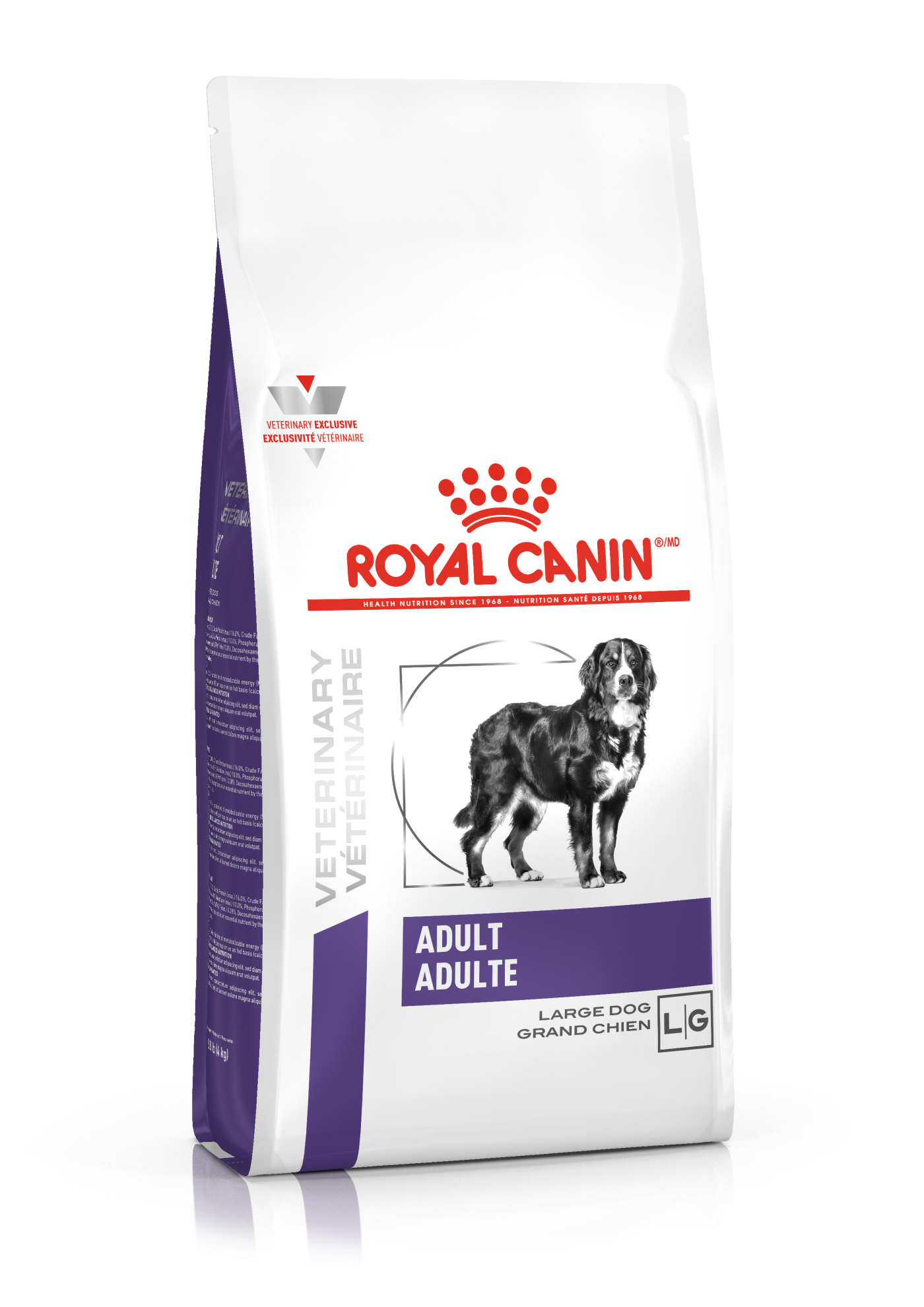 Canine Adult Large Dog