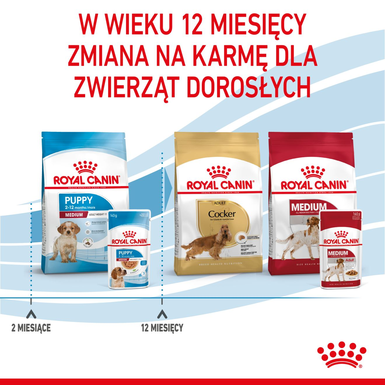 SHN Medium Puppy sos 