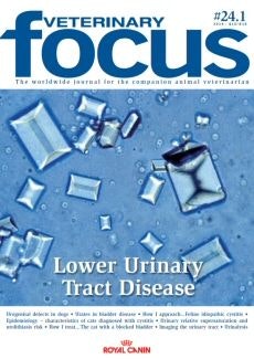 Lower Urinary Tract Disease