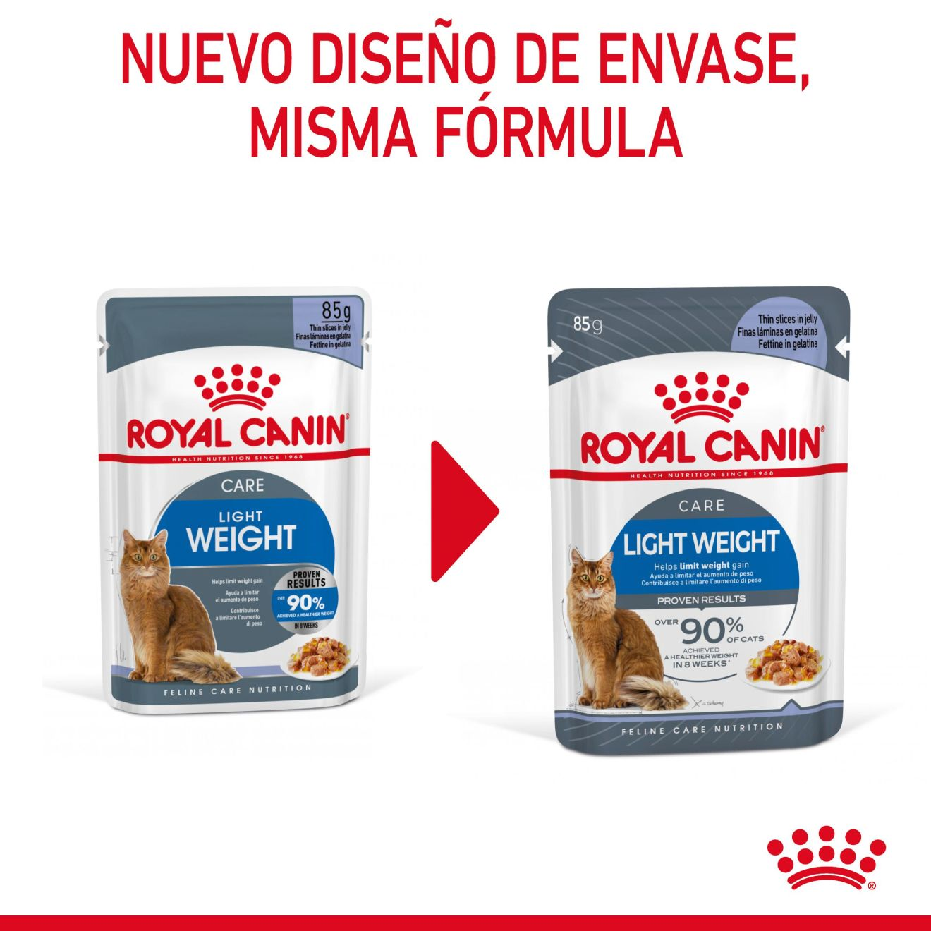  Light Weight Care Finas láminas en gelatina
