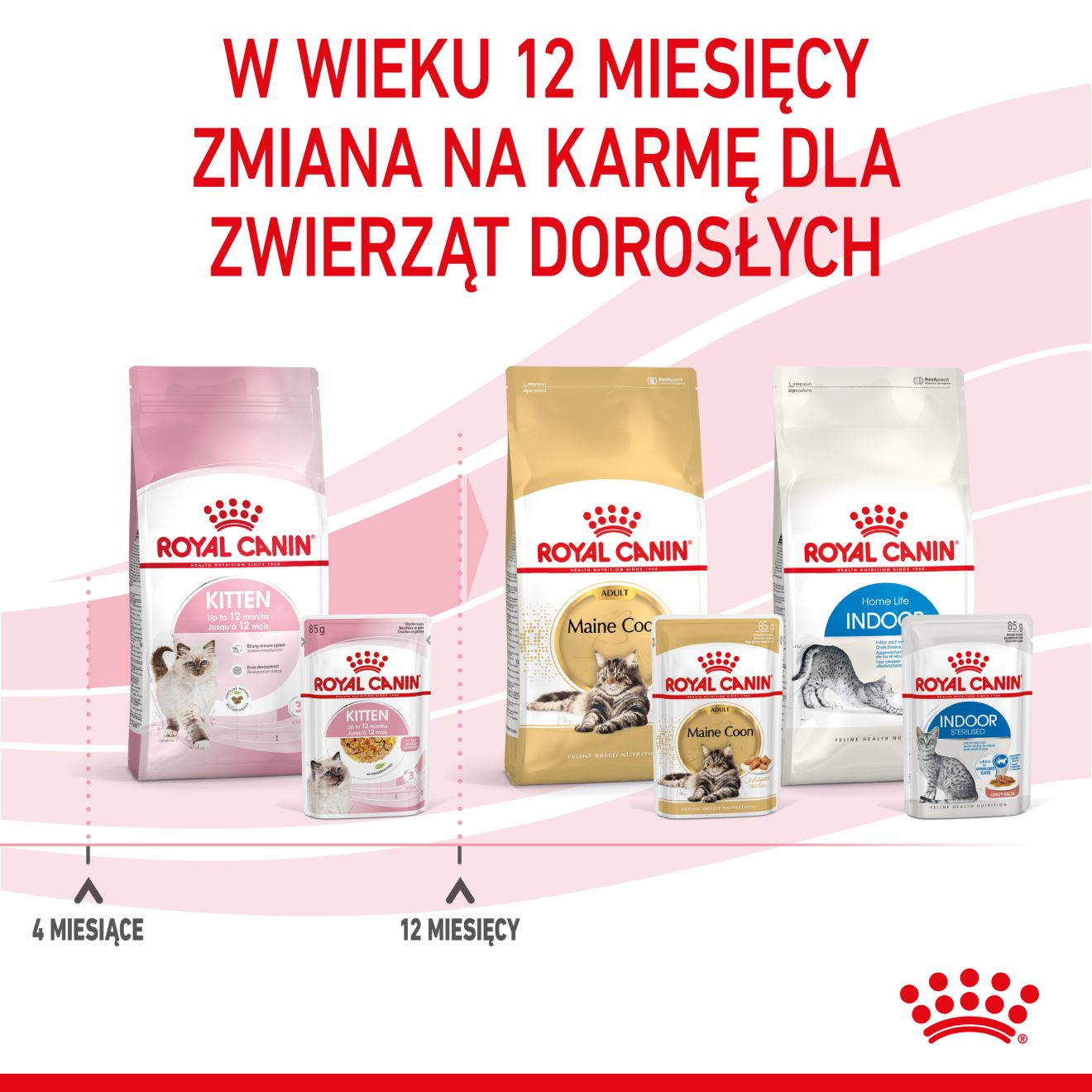 ROYAL CANIN Kitten Instinctive karma mokra w galaretce dla kociąt do 12 miesiąca życia