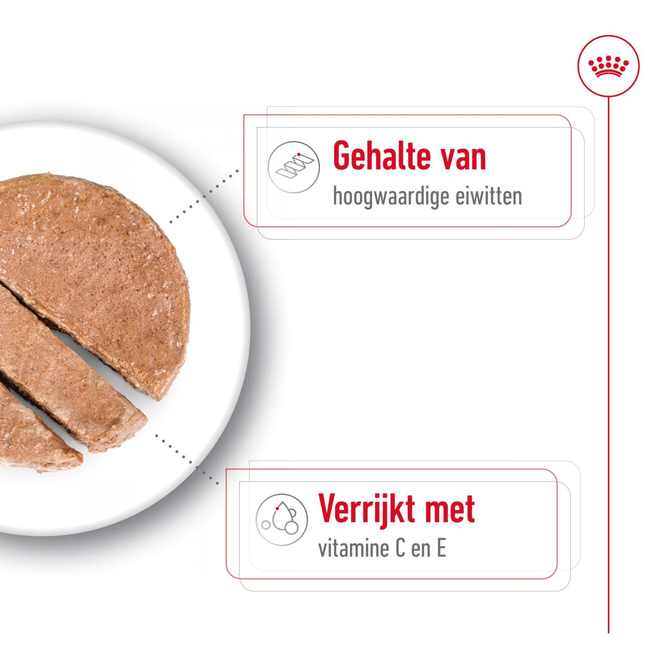 Medium Adult in Loaf (paté in saus)