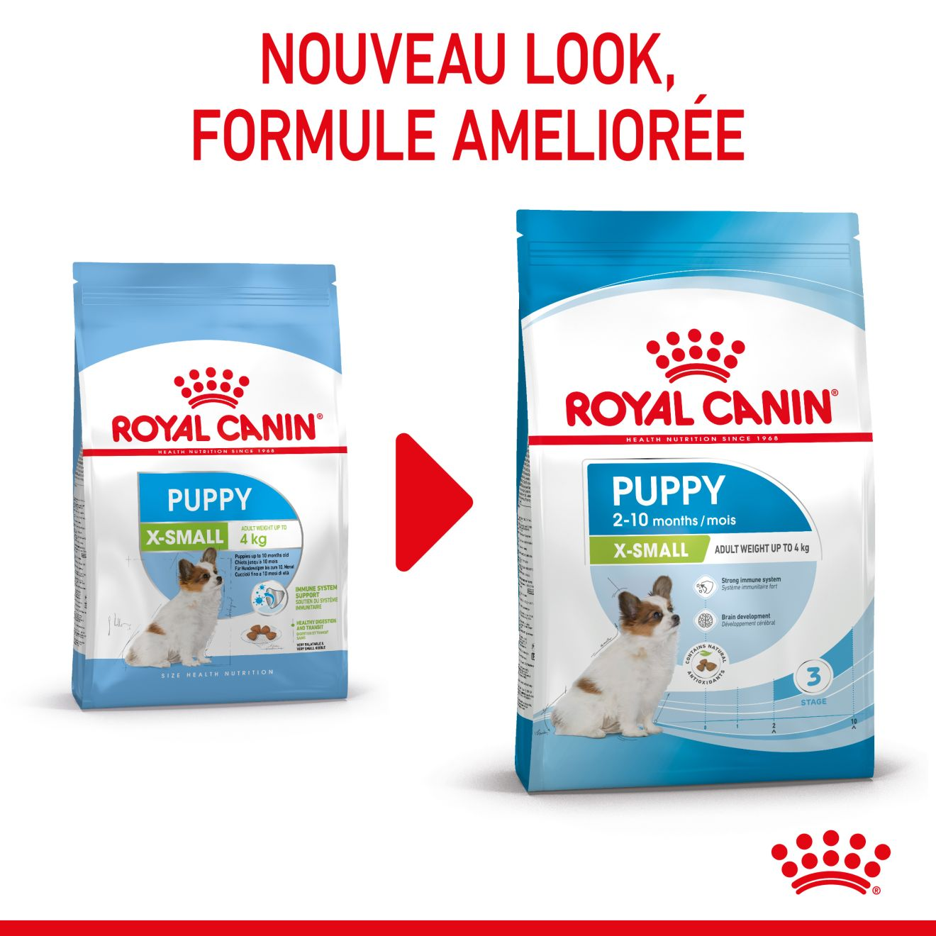 Ração Royal Canin Cães Filhotes Xsmall Puppy - Aupetmia Petshop