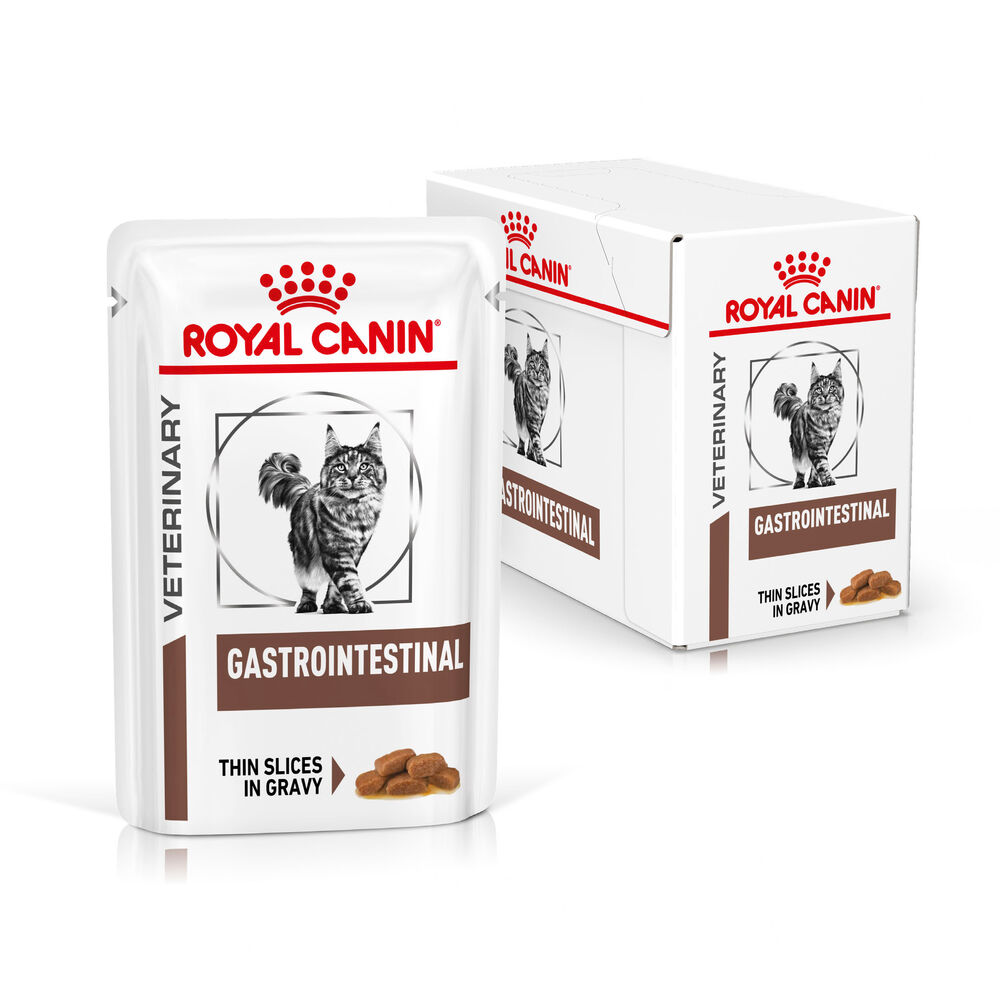 Royal canin 2024 intestinal kat