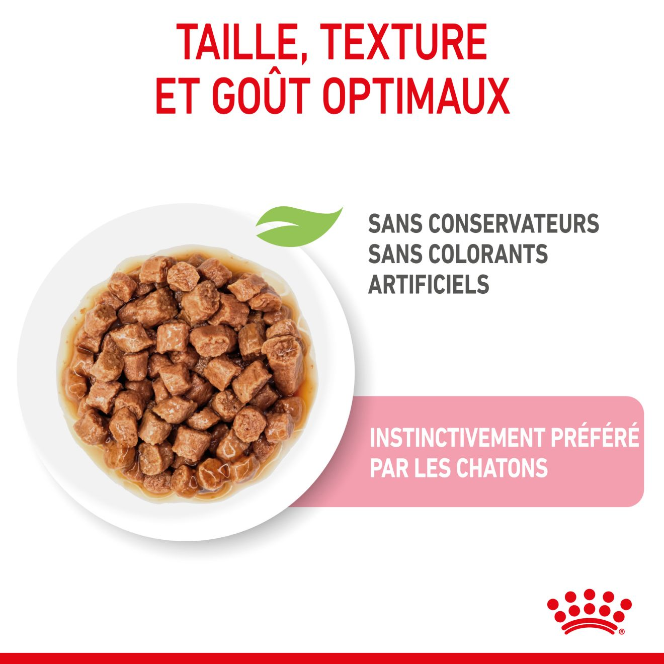 Croquettes chaton stérilisé, Royal-Canin Kitten Sterilised