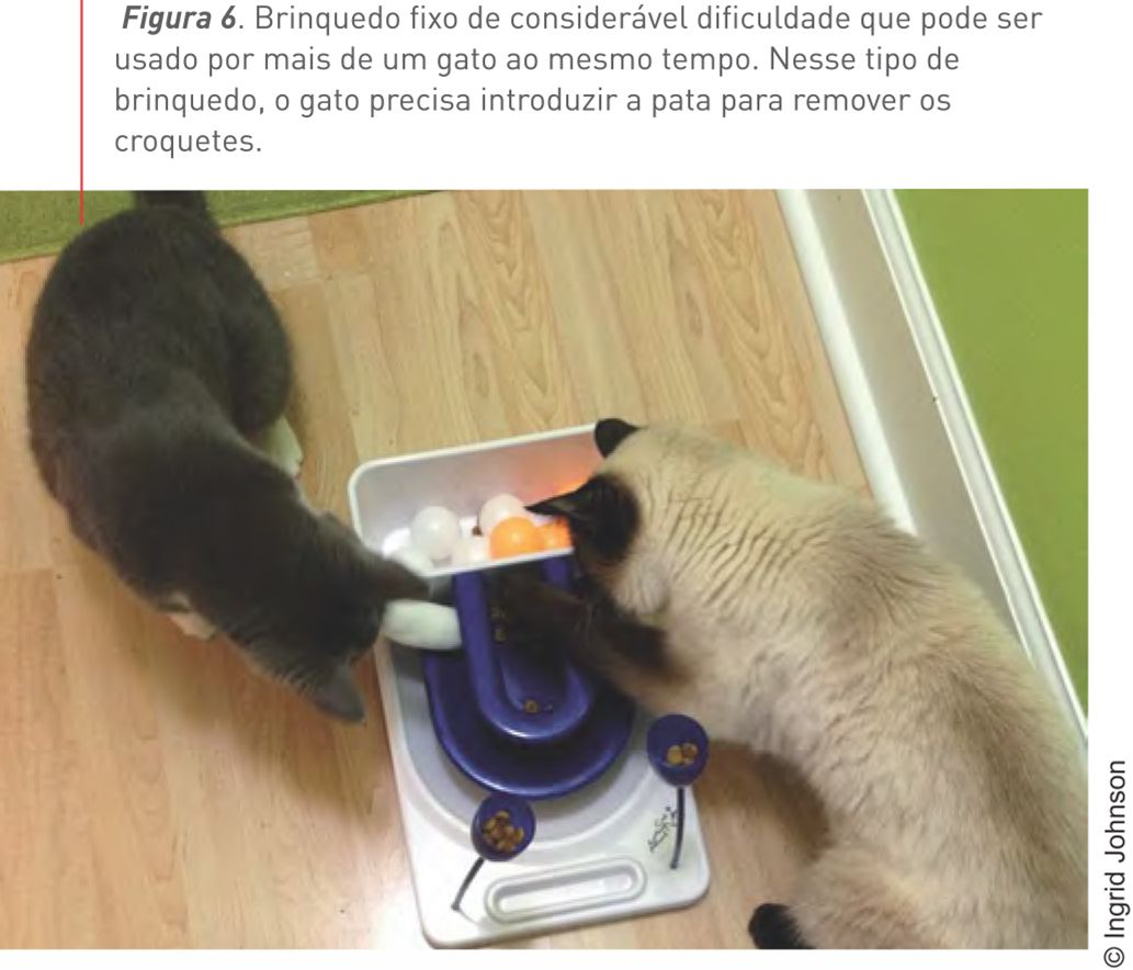 Figura 6. Brinquedo fixo de considerável dificuldade que pode ser usado por mais de um gato ao mesmo tempo. Nesse tipo de brinquedo, o gato precisa introduzir a pata para remover os croquetes. © Ingrid Johnson