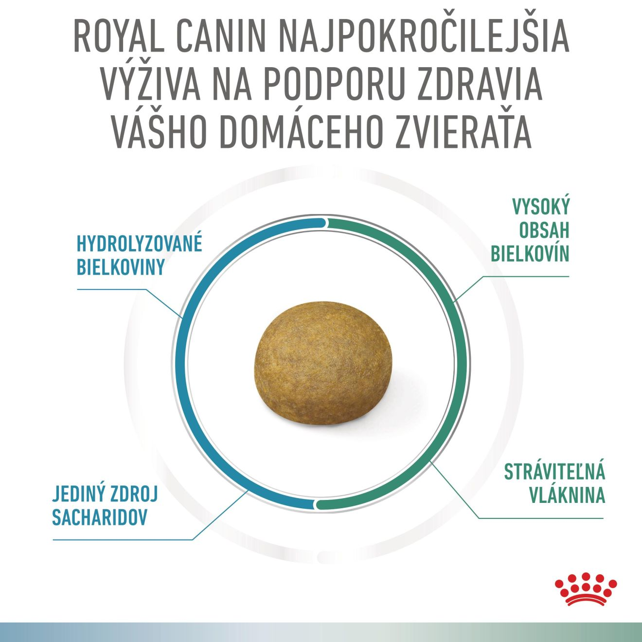 VHN Dog CA Renal-Hypoallergenic Small