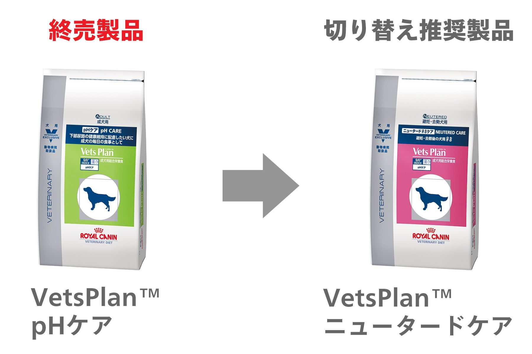 281-japan-local-vets-of-dog-ph-care-change