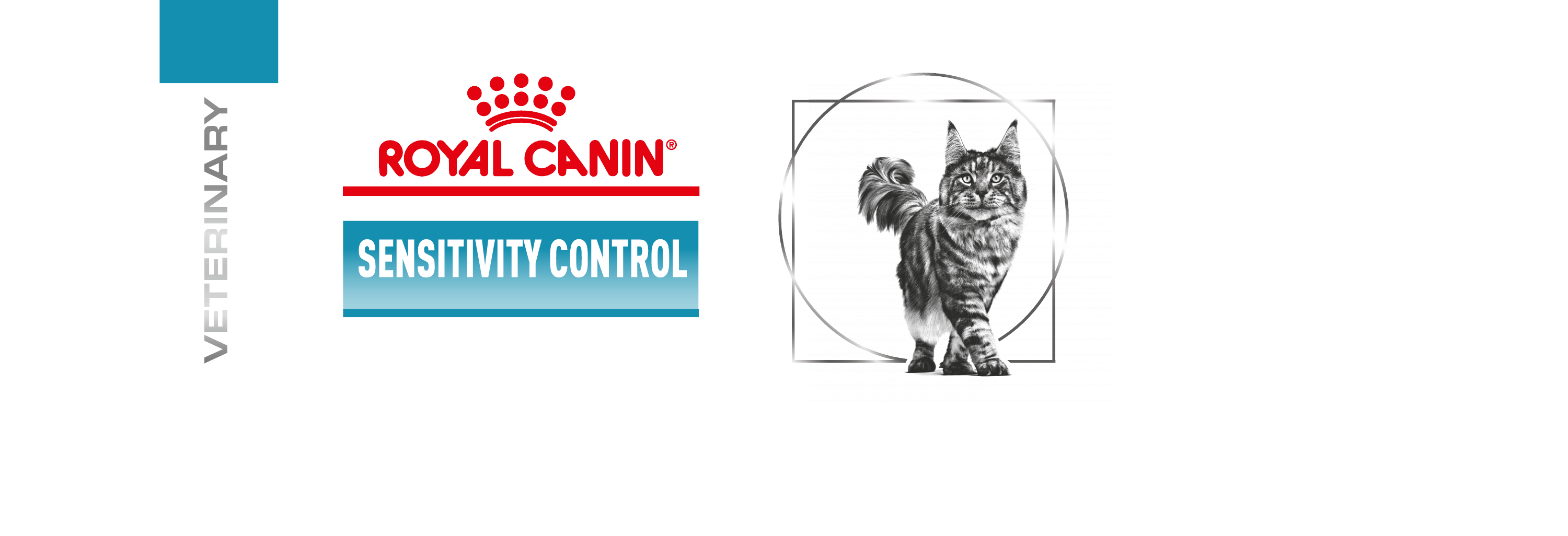 סנסיטיביטי קונטרול