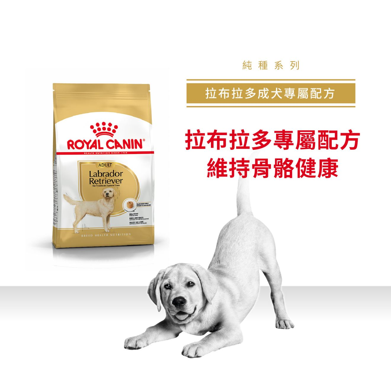 BHN 拉布拉多成犬專屬配方