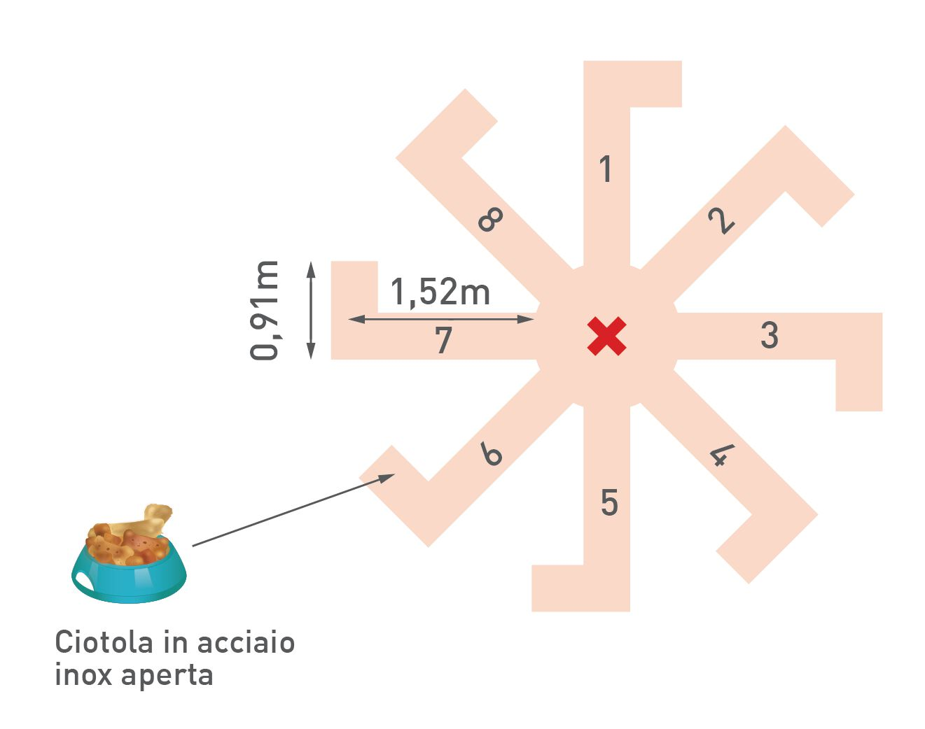 Il labirinto radiale a 8 bracci utilizzato nello Studio 3