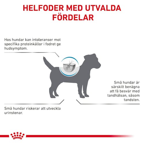 Derma Hypoallergenic Small Dog
