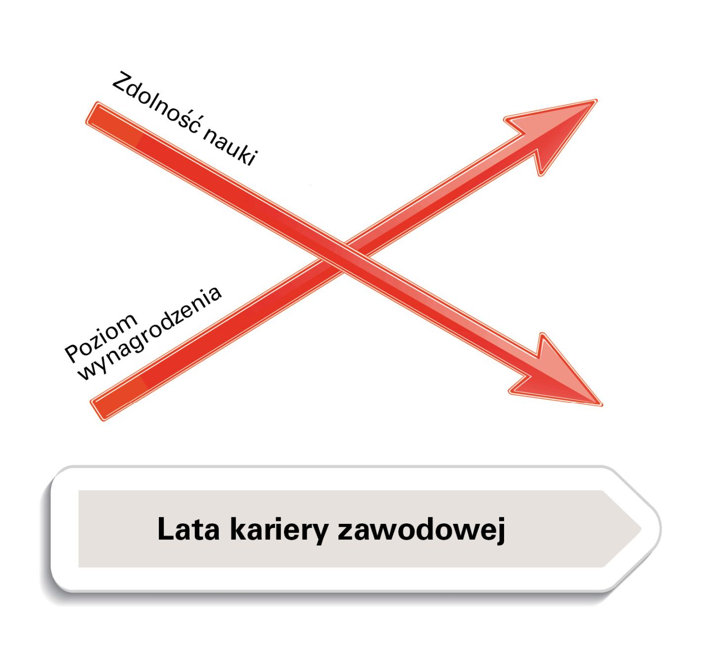 Ryc. 1. Typowa ścieżka kariery dla osób pracujących zawodowo