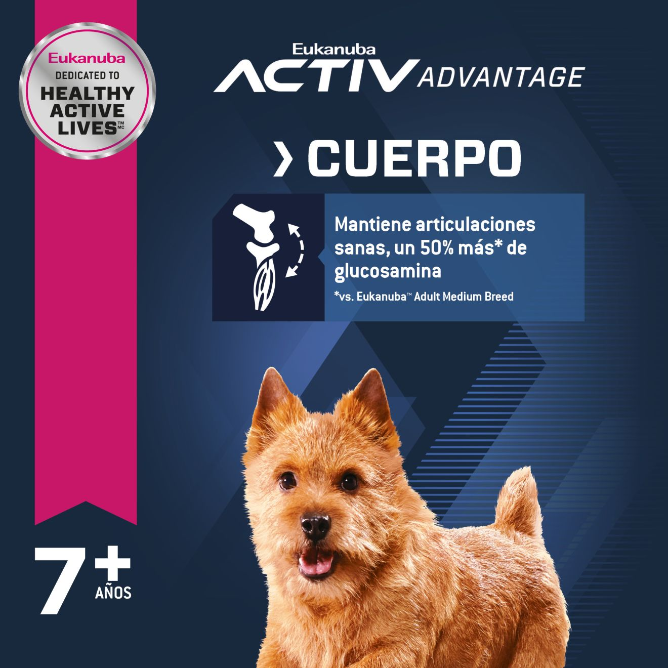 Eukanuba™ Senior Small Breed