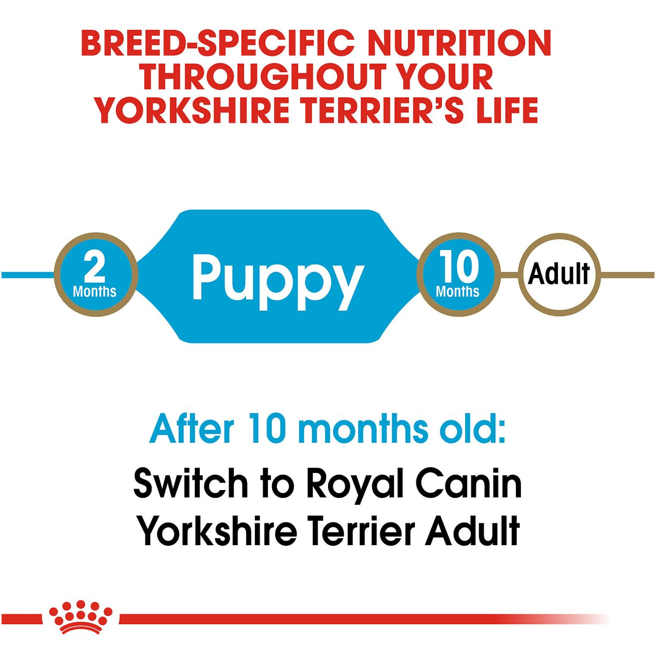 Royal canin yorkshire terrier store puppy dry dog food