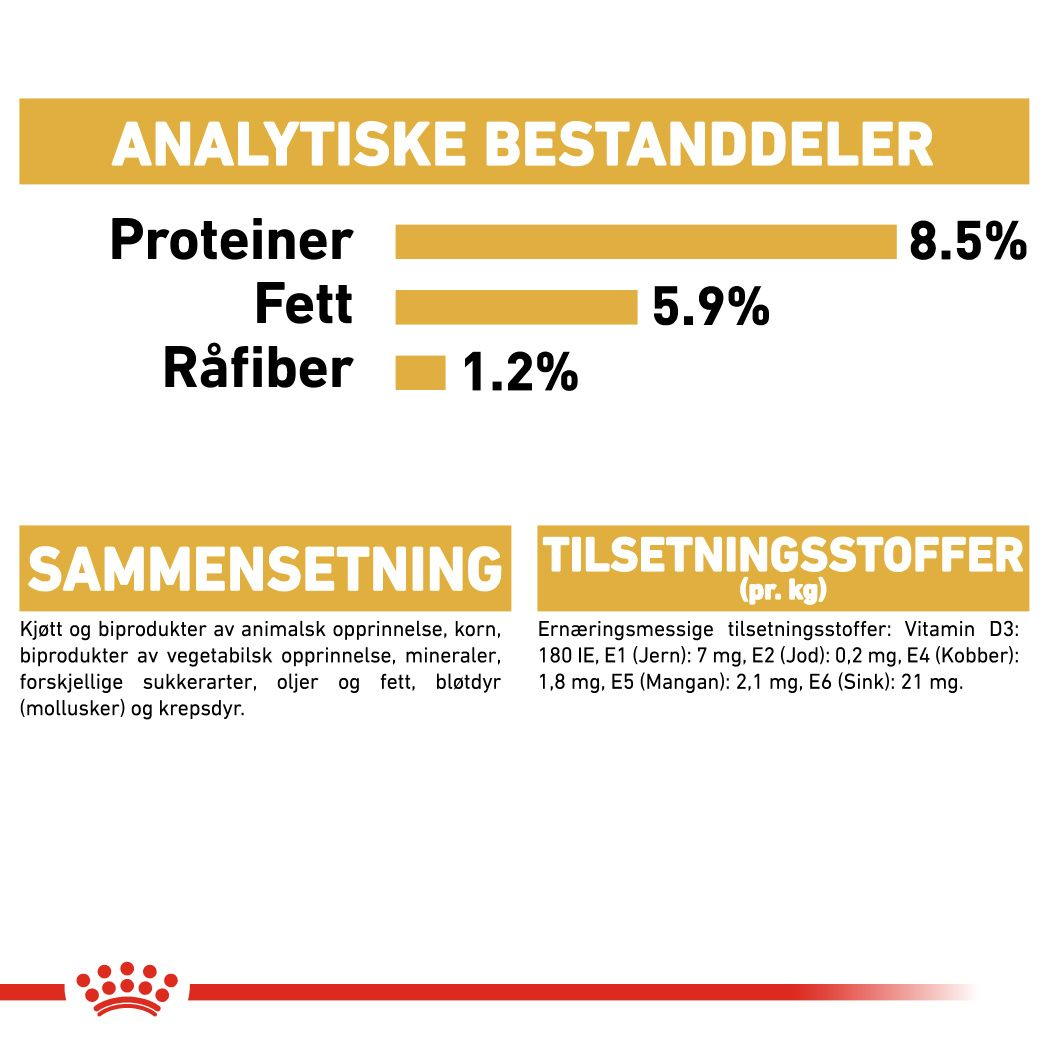 Dachshund Adult Loaf