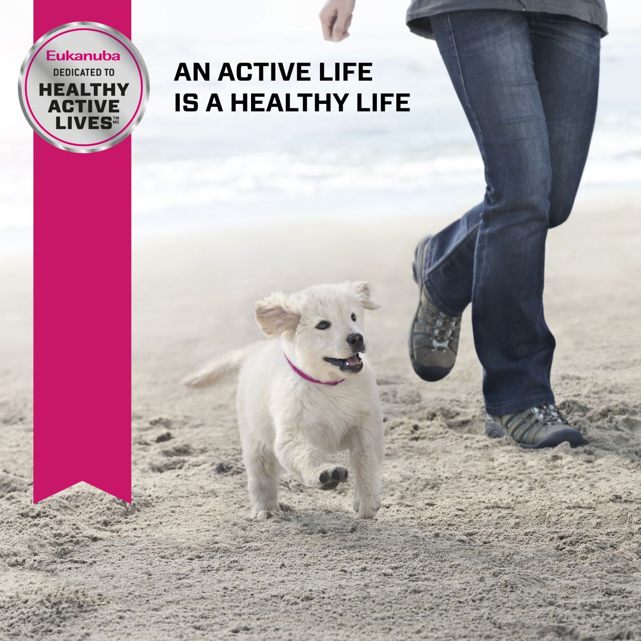 Eukanuba™ PUPPY MEDIUM BREED