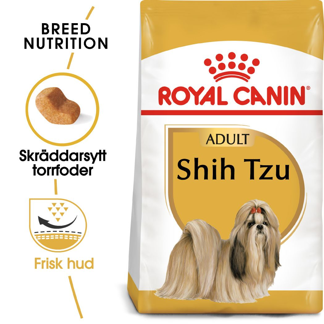 Shih Tzu Adult