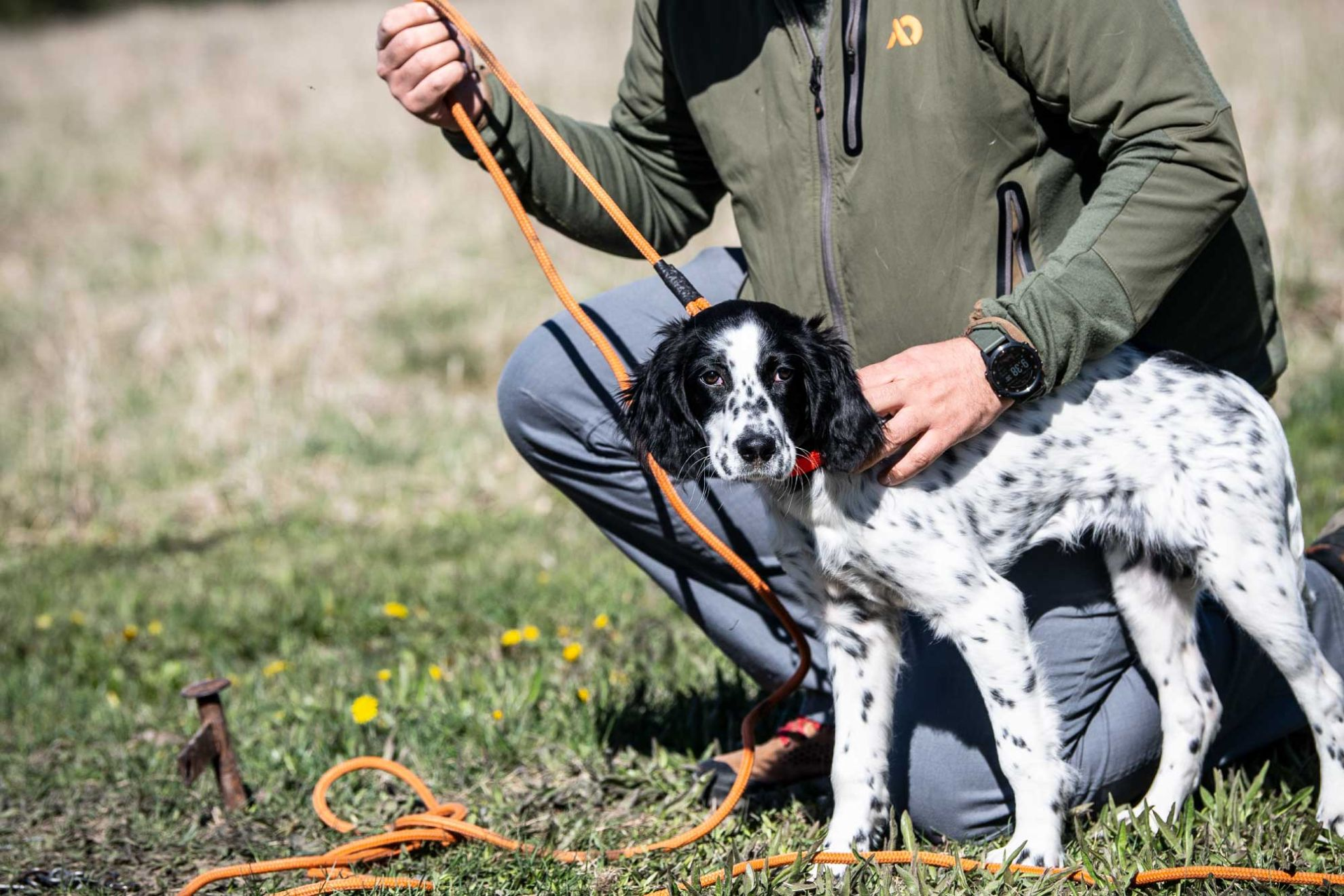 Eukanuba hotsell hunting team