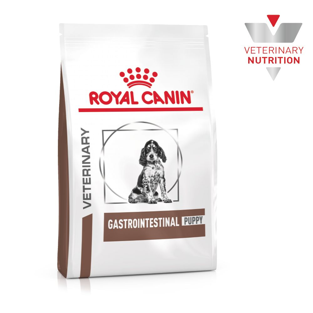 Gastrointestinal Puppy Royal Canin ZA