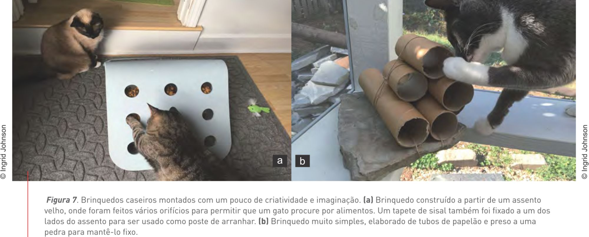 Figura 7. Brinquedos caseiros montados com um pouco de criatividade e imaginação. (a) Brinquedo construído a partir de um assento velho, onde foram feitos vários orifícios para permitir que um gato procure por alimentos. Um tapete de sisal também foi fixado a um dos lados do assento para ser usado como poste de arranhar. (b) Brinquedo muito simples, elaborado de tubos de papelão e preso a uma pedra para mantê-lo fixo. © Ingrid Johnson