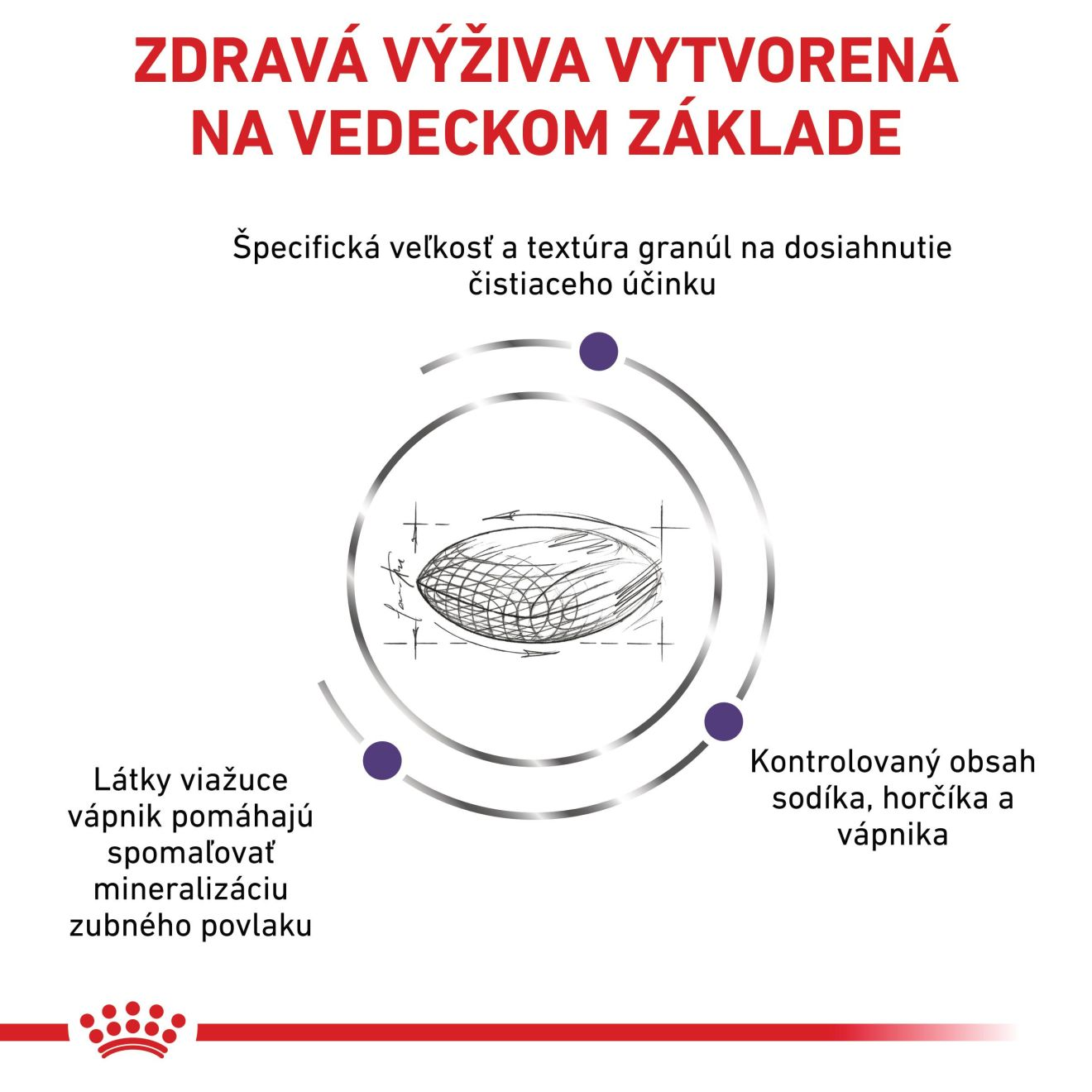 VHN Dental small dog