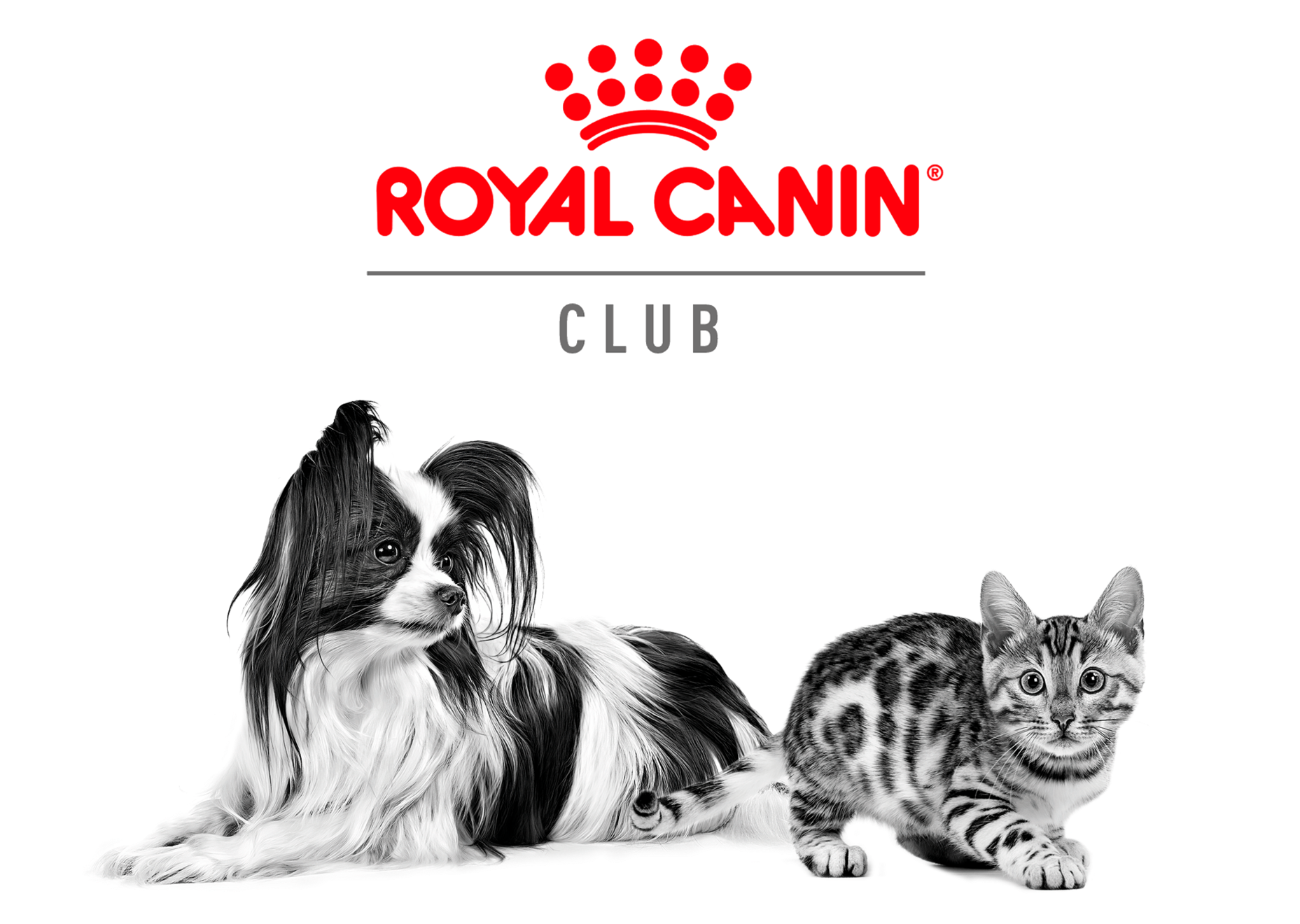 royal canin packaging