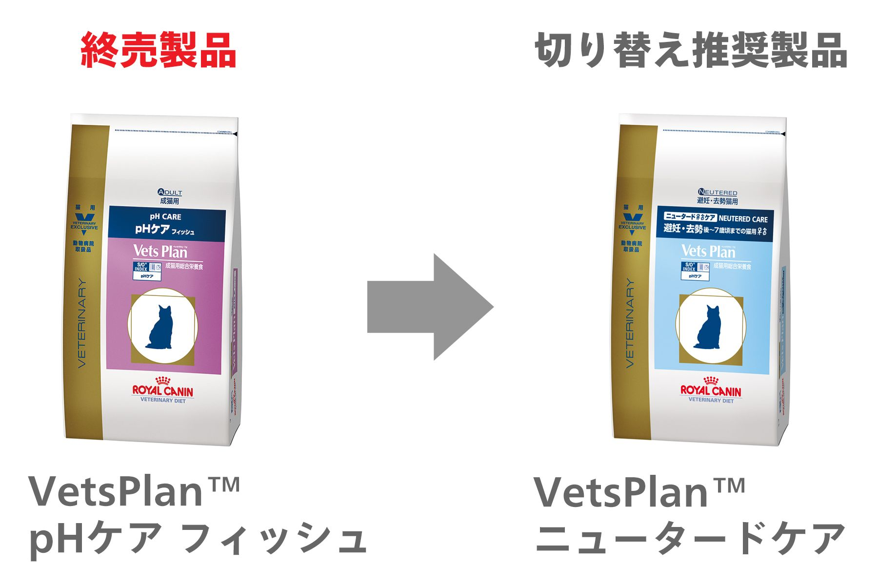 276-japan-local-vets-of-cat-ph-care-change