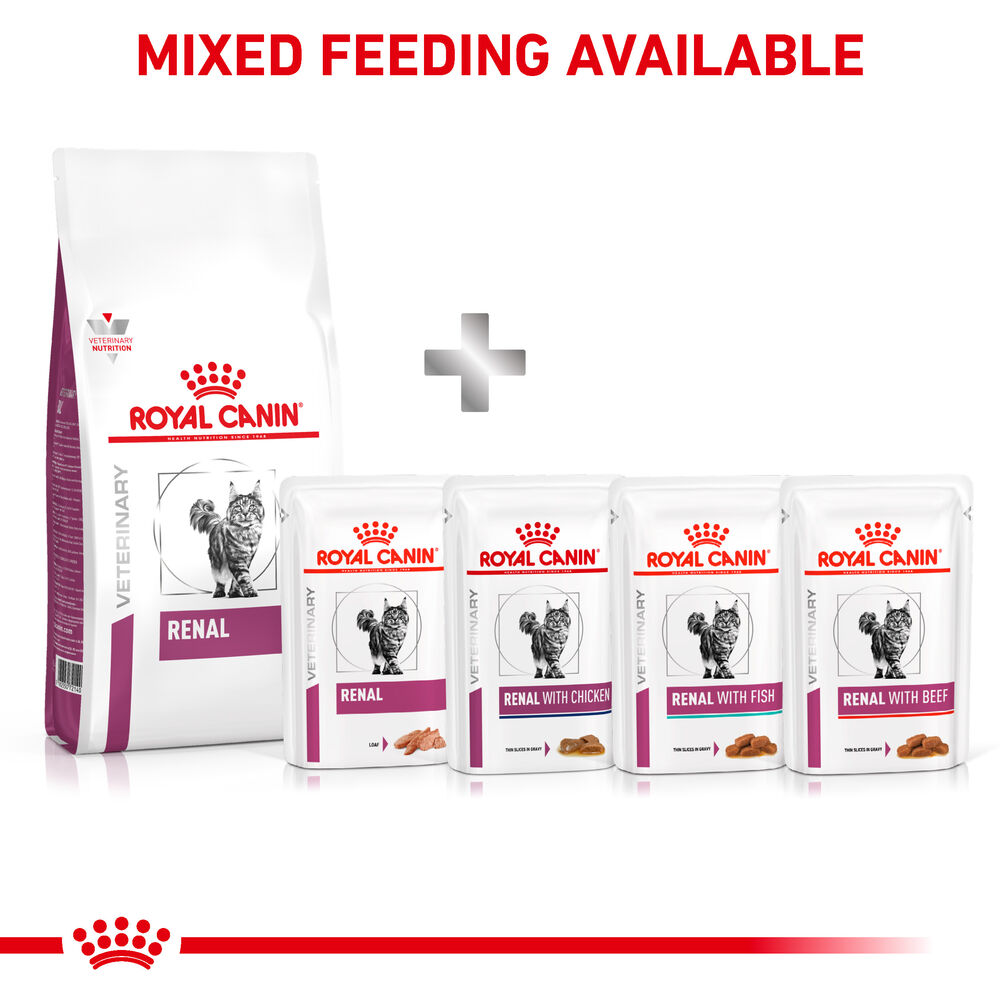 Royal canin renal support 2025 e canned cat food