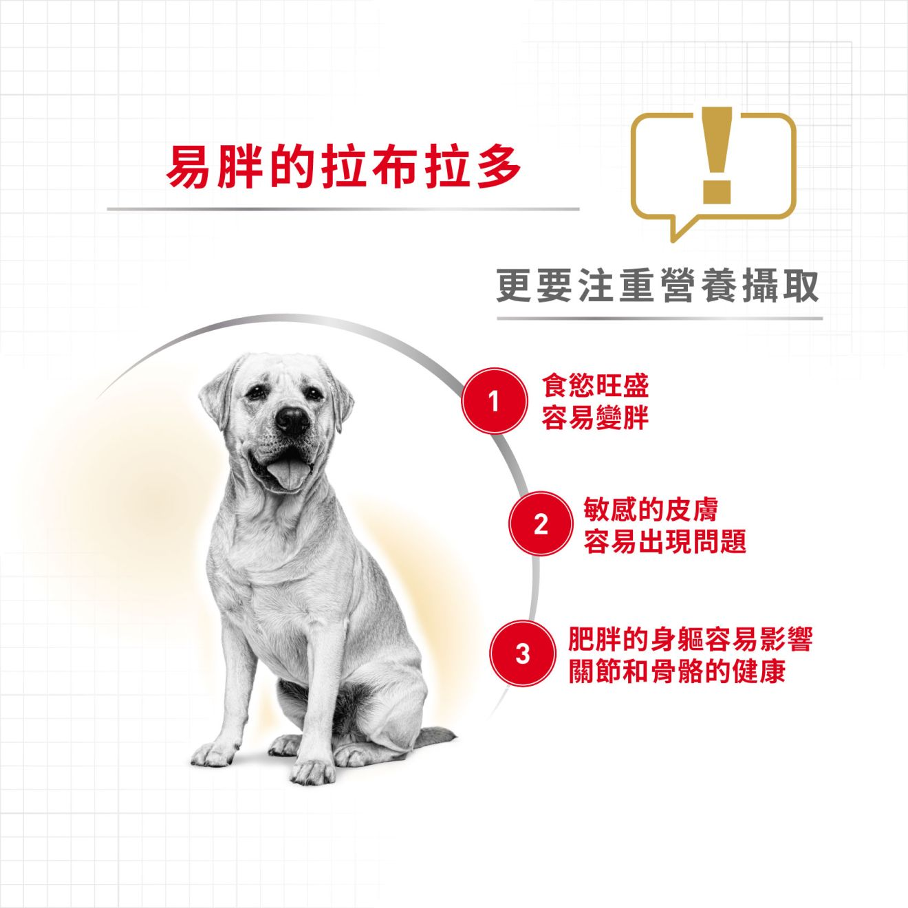 BHN 拉布拉多成犬專屬配方