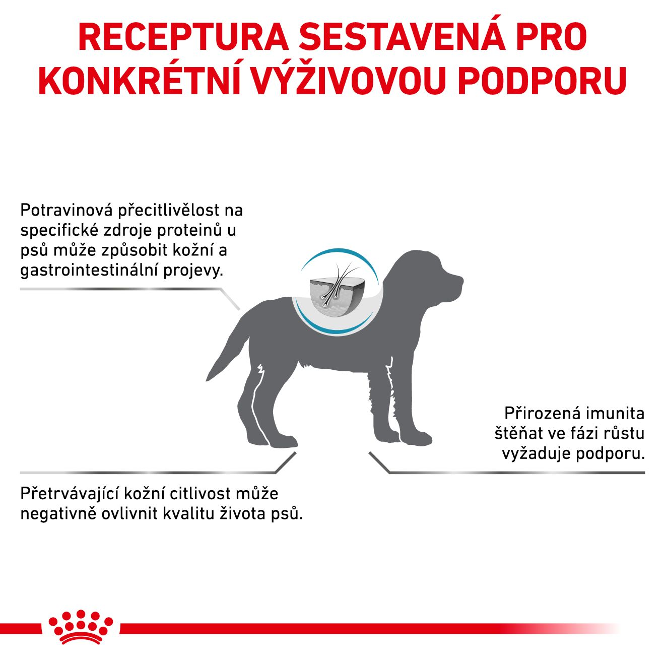 VHN Dog Hypoallergenic Puppy