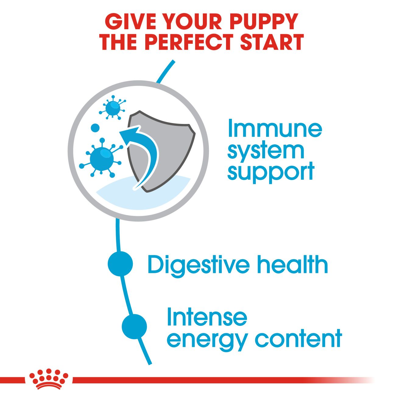 royal canin puppy mini 8 kg