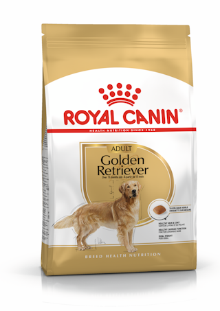 BHN Golden Retriever Adult Dog