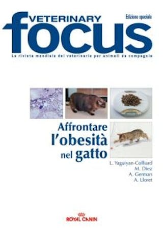 Affrontare l’obesità nel gatto