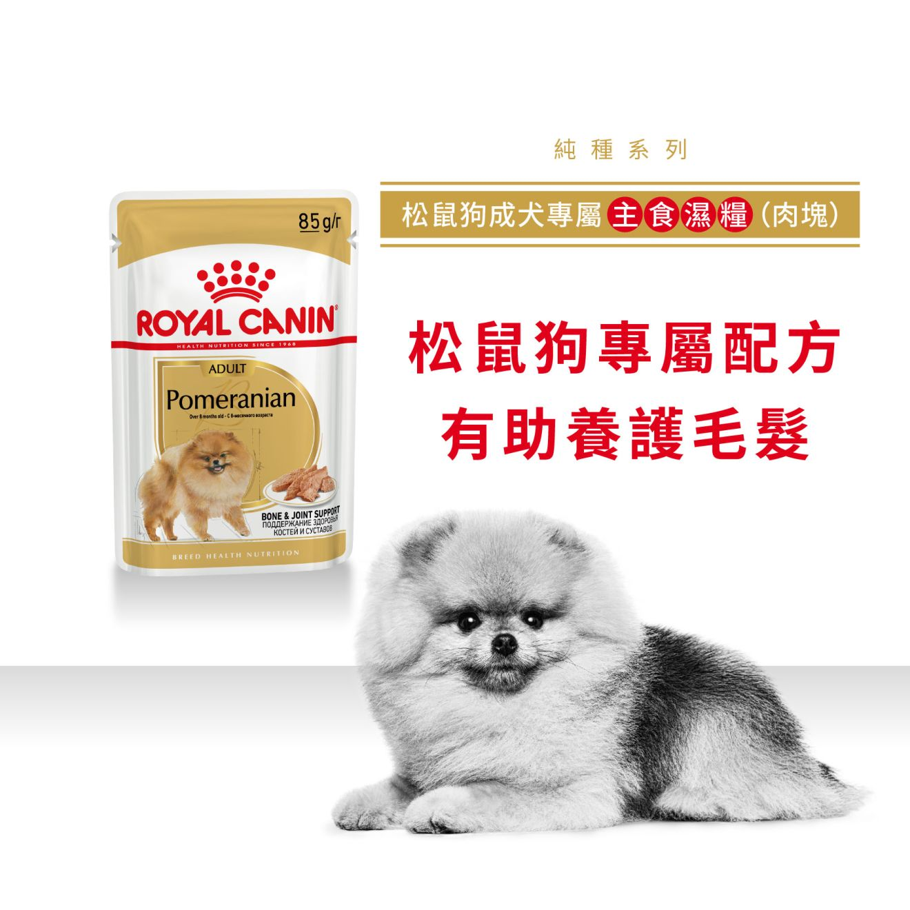 BHN 松鼠狗成犬專屬主食濕糧（肉塊）