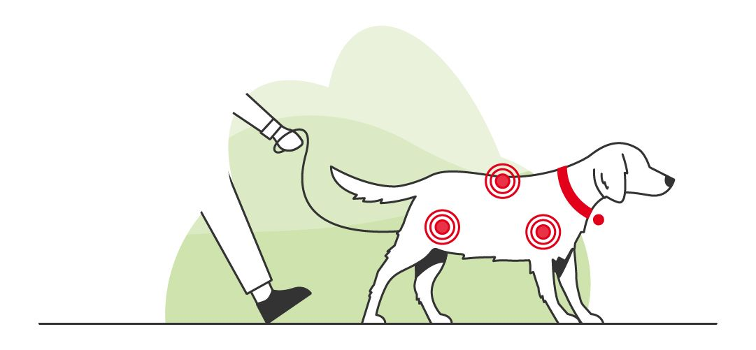 Illustration eines Besitzers, der mit einem Hund Gassi geht, mit grünem Hintergrund