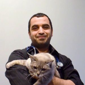Suliman Al-Ghazlat