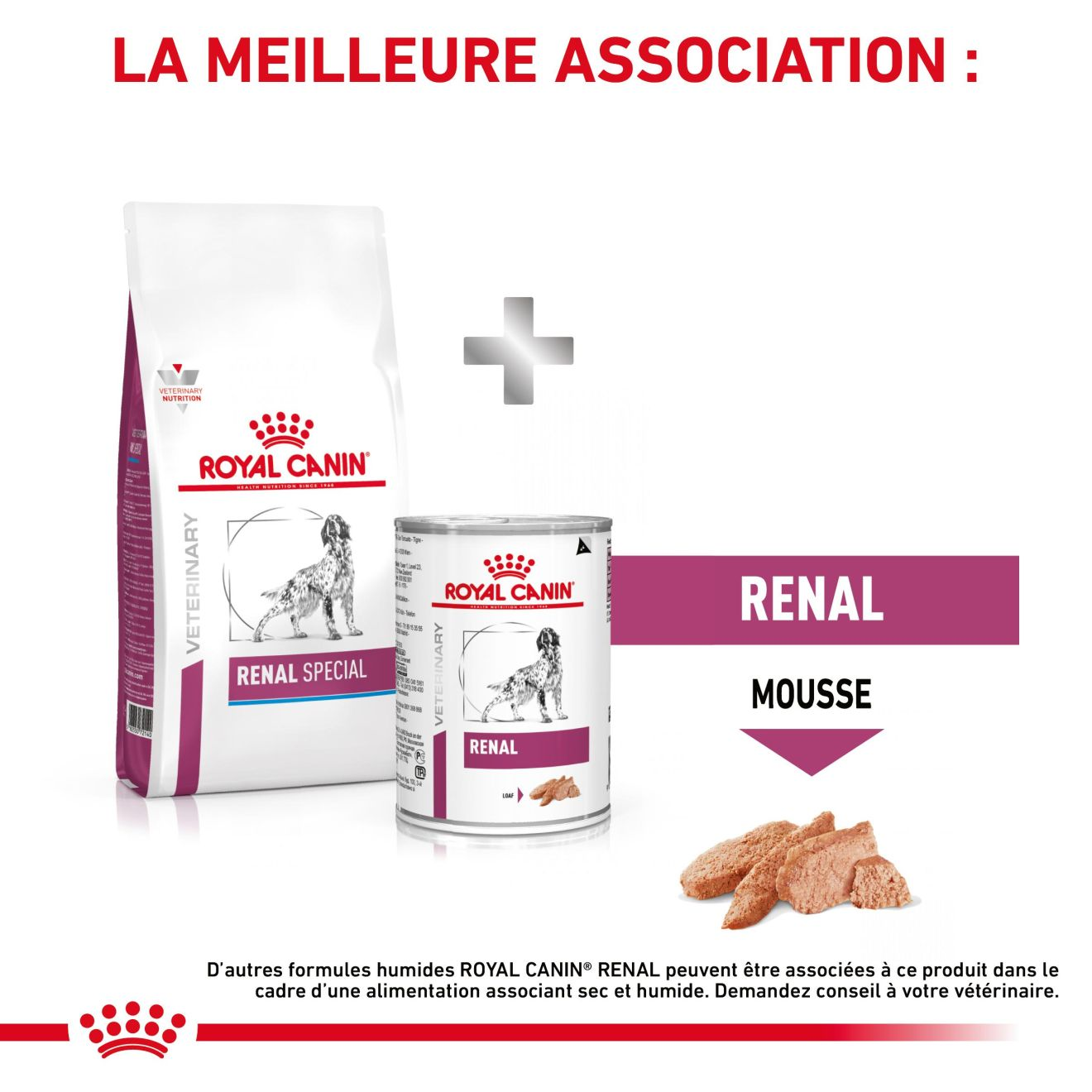 Renal Special