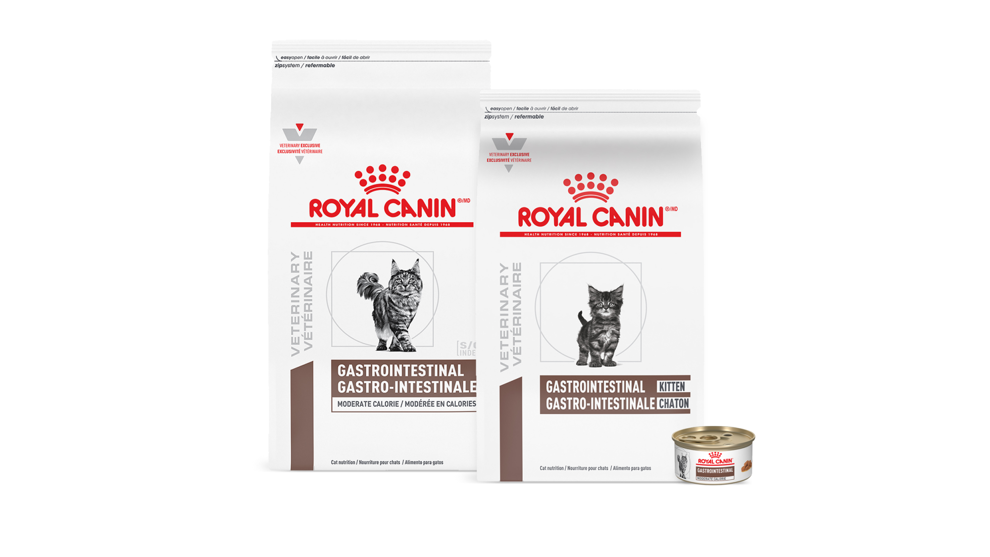 Understanding your cat s gastrointestinal and digestive health