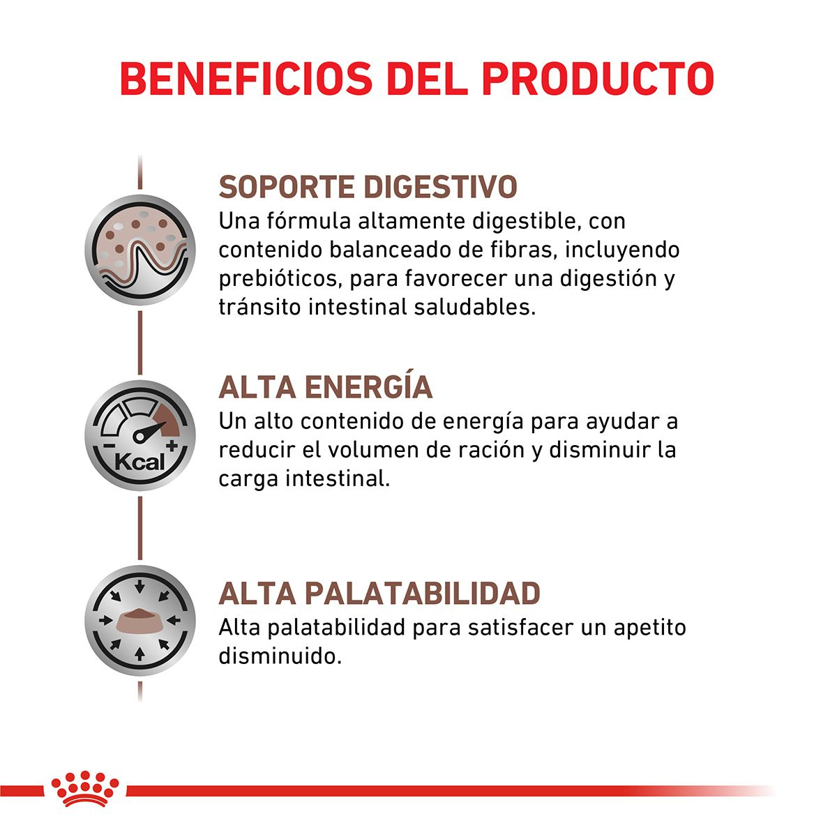 Gastrointestinal Canine