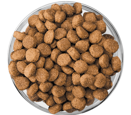 EUKANUBA-Kibble_Bowl_Puppy_Medium_LargeBreed