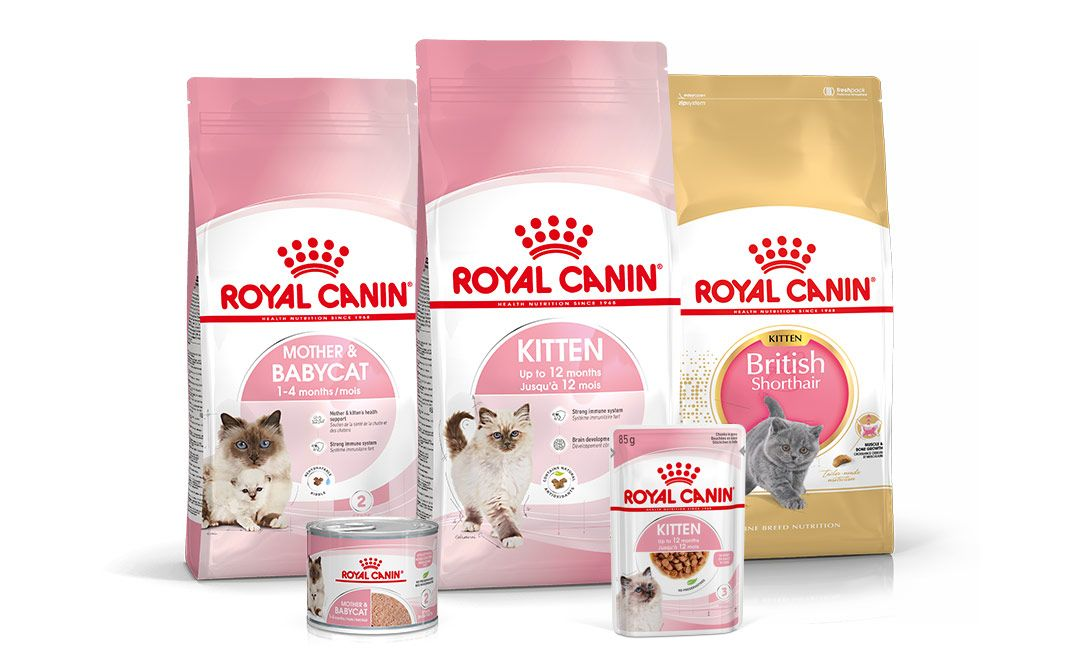 Croquettes et pâtés pour chaton Royal Canin