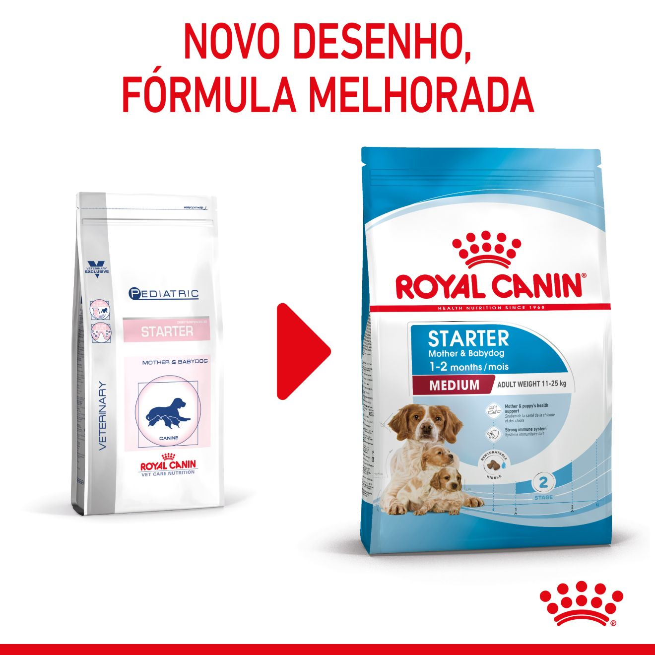 STARTER Mother & Babydog - MEDIUM