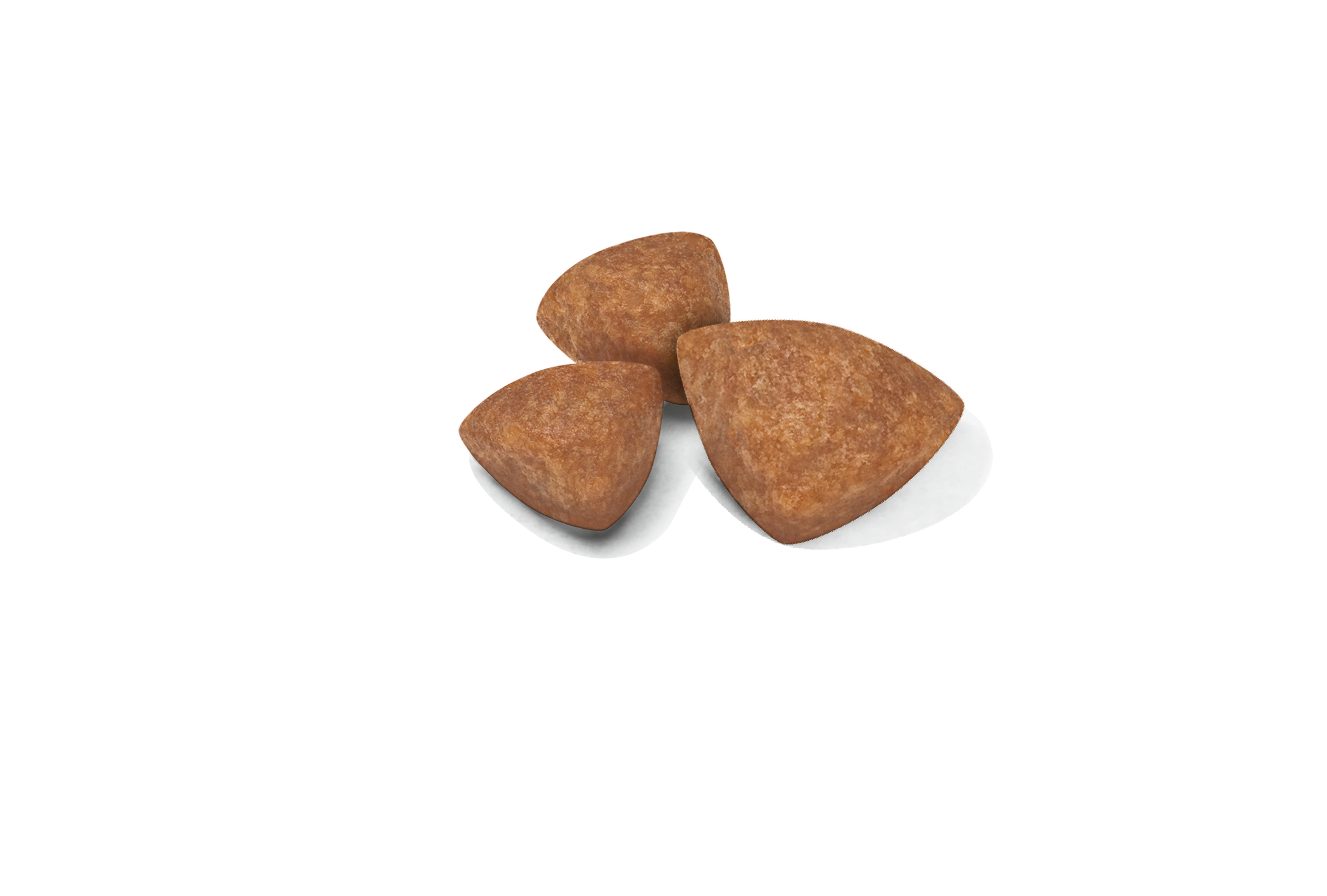 XSmall Puppy Dry Dog Food | Royal Canin US