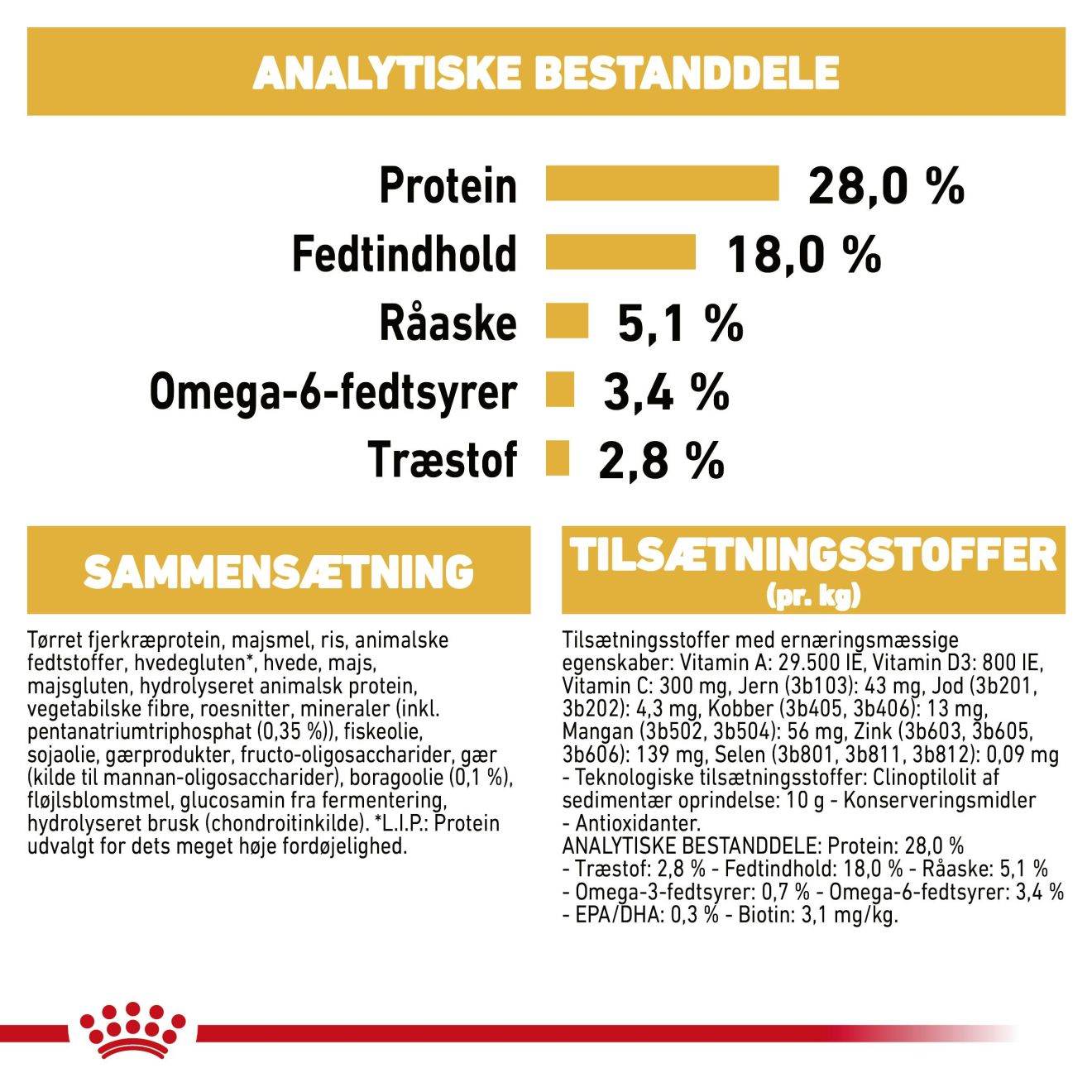 Yorkshire Terrier Adult