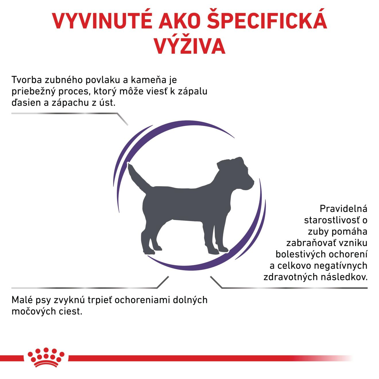 VHN Dental small dog